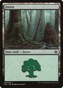 Bosque (28) (Garruk vs. Liliana) [Antología de Duel Decks] 