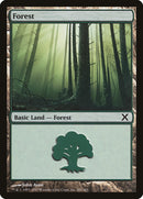 Bosque (381) [Décima Edición] 