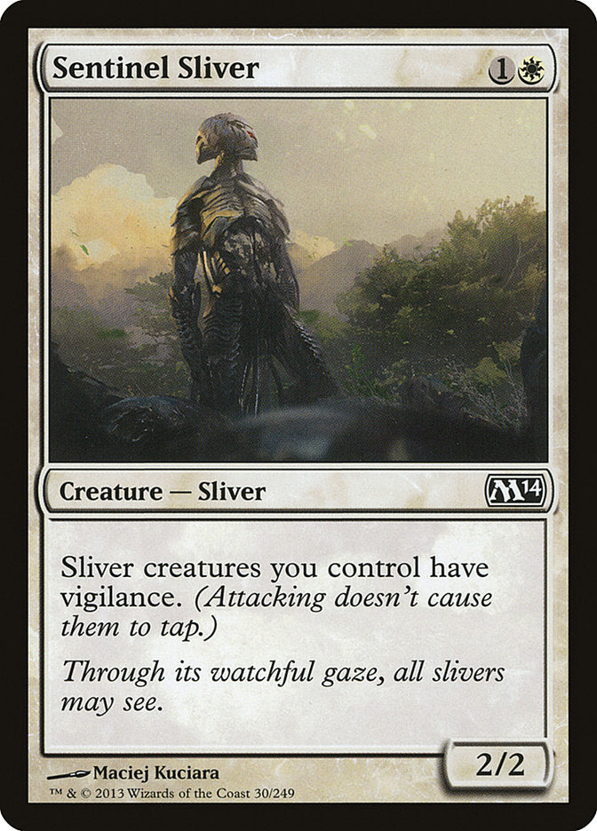 Astilla centinela [Magic 2014] 