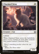 Charmed Stray [La guerra de la chispa] 