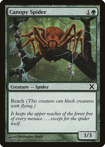 Canopy Spider [Décima Edición] 