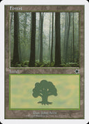 Bosque (173) [Inicio 1999] 