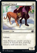 Caracal entrenado [Jumpstart 2022] 