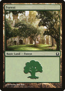 Bosque (271) [Regreso a Rávnica] 