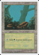 Bosque (Dos Piedras) [Cuarta Edición] 