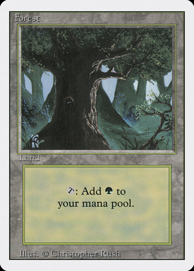 Bosque (Ojos en el árbol) [Edición revisada] 