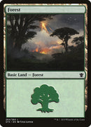 Bosque (264) [Dragones de Tarkir] 