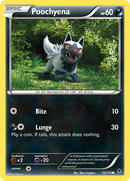 Poochyena (53/119) [XY: Fuerzas fantasmas] 