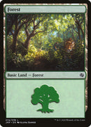 Bosque (74) [Inicio] 