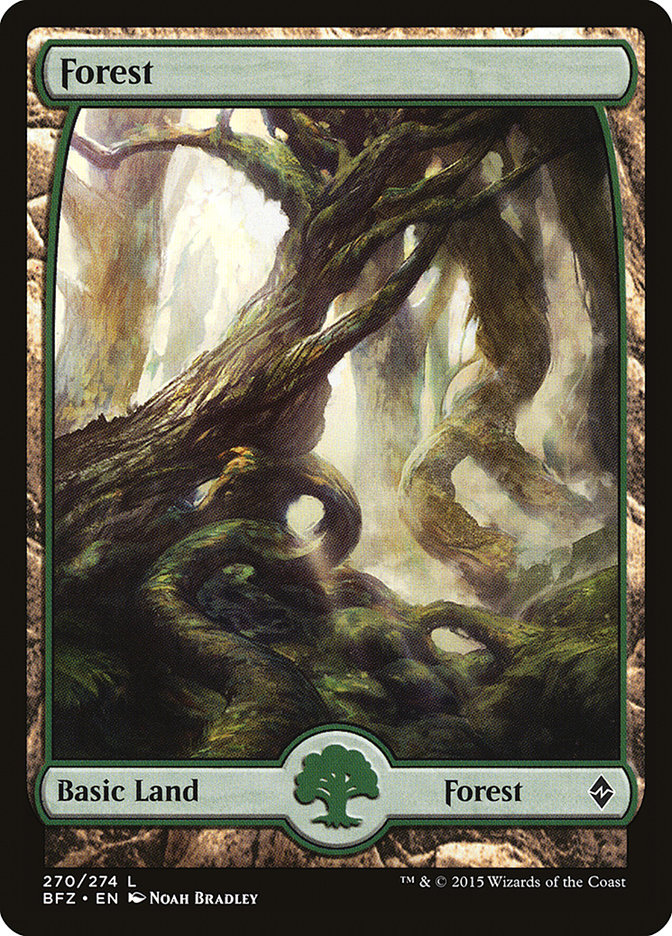 Bosque (270) (Arte completo) [Batalla por Zendikar] 