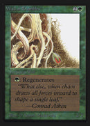Wall of Brambles [Edición internacional de coleccionista] 