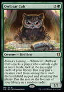 Cachorro de oso búho [Commander Legends: Batalla por Baldur's Gate] 