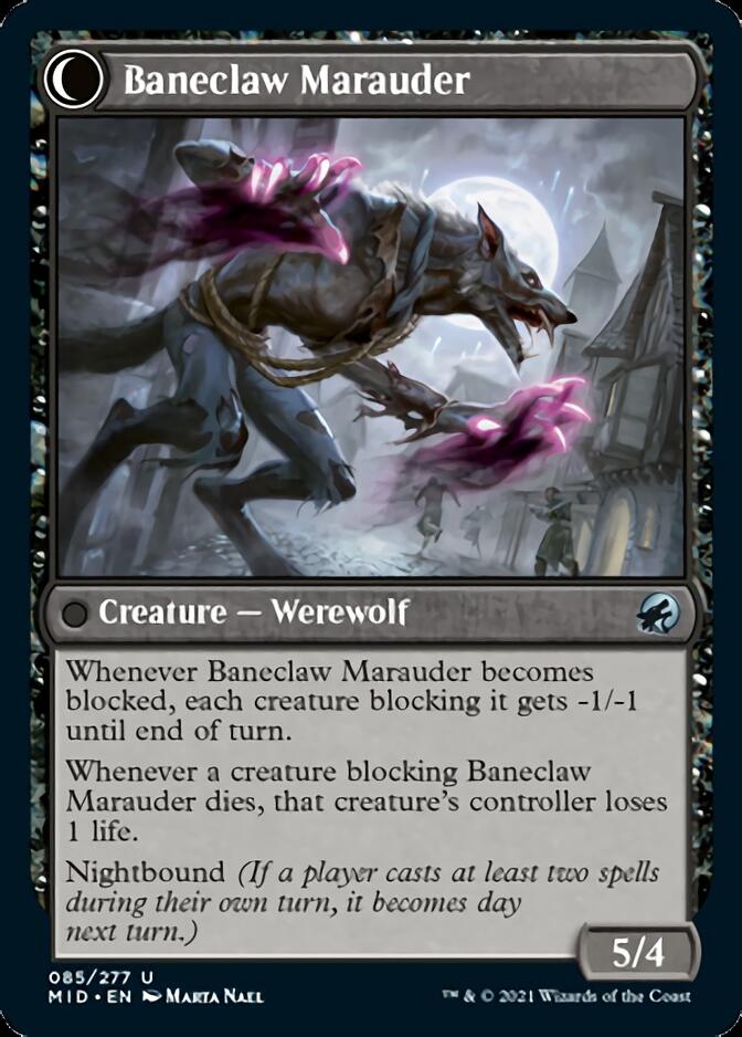 Baneblade Scoundrel // Baneclaw Merodeador [Innistrad: Caza de medianoche] 