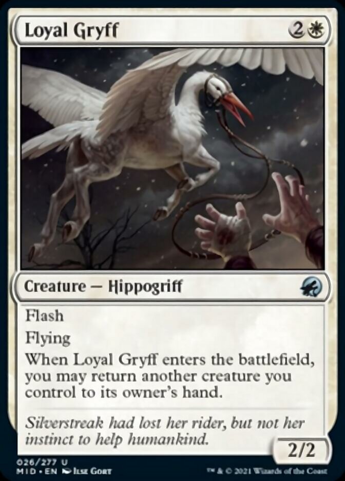 Leal Gryff [Innistrad: Caza de medianoche] 
