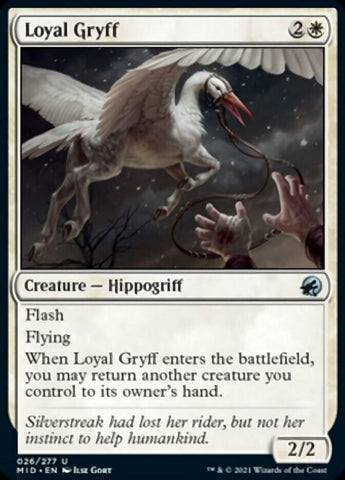 Leal Gryff [Innistrad: Caza de medianoche] 