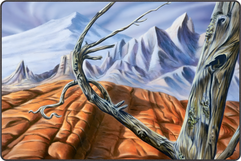 Playmat - Wasteland