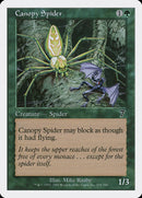 Canopy Spider [Séptima Edición] 