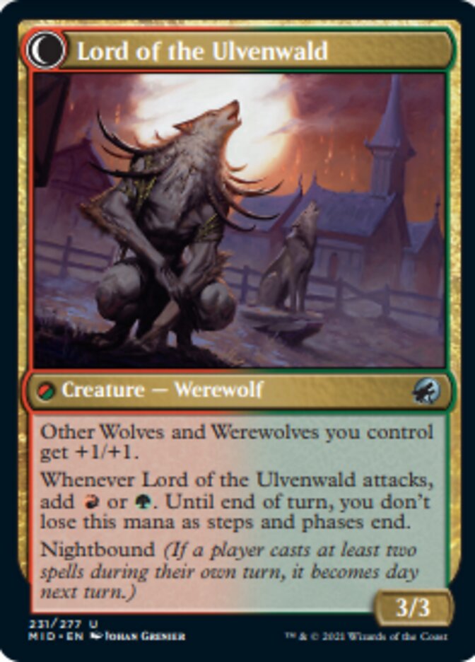 Naturalista Kessig // Señor de Ulvenwald [Innistrad: Caza de medianoche] 