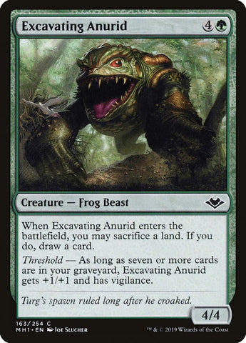 Excavando Anurid [Horizontes modernos] 
