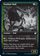 Lobo pestilente [Innistrad: doble función] 