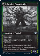 Arboleda dormida // Zancudo de arboleda nudoso [Innistrad: función doble] 
