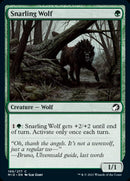 Lobo gruñendo [Innistrad: Caza de medianoche] 