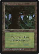 Bosque (302) [Edición Beta] 