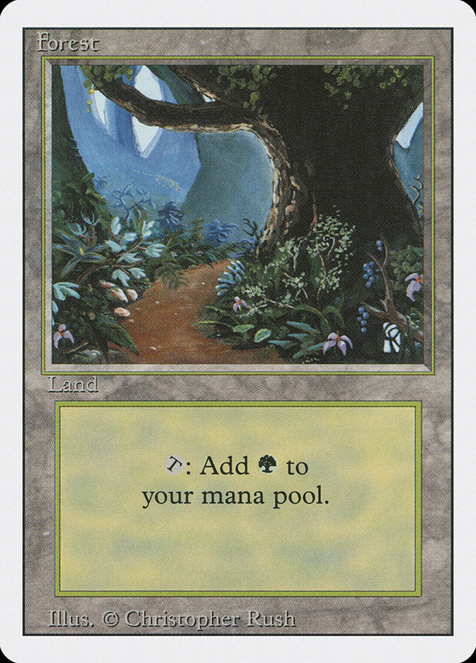 Bosque (Camino de flores) [Edición revisada] 