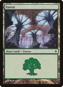 Bosque (175) [Nueva Pirexia] 