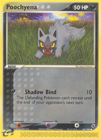 Poochyena (65/109) [EX: Rubí y Zafiro] 