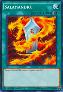 Salamandra [LDK2-ENJ27] Común 