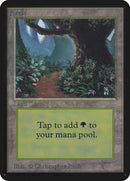 Bosque (295) [Edición Alfa] 