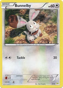 Bunnelby (30/4) [XY: Kit de entrenador - Noivern] 
