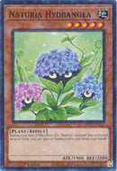 Naturia Hydrangea (Terminal de Duelo) [HAC1-EN107] Común 