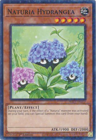Naturia Hydrangea (Terminal de Duelo) [HAC1-EN107] Común 