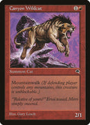 Gato Montés del Cañón [Tempestad] 