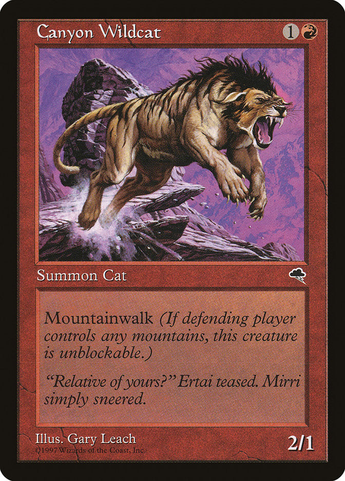 Gato Montés del Cañón [Tempestad] 
