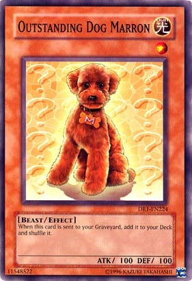Perro Excepcional Marrón [DR1-EN224] Común 