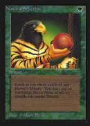 Selección natural [Edición de coleccionista internacional] 