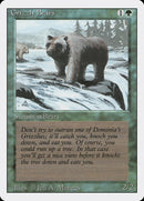 Osos Grizzly [Edición revisada] 