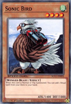Pájaro sónico [SGX1-ENE03] Común 
