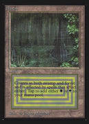Bayou [Edición de coleccionista internacional] 