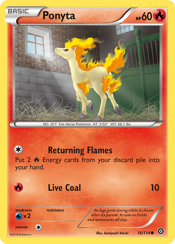 Ponyta (16/114) [XY: Asedio de vapor] 
