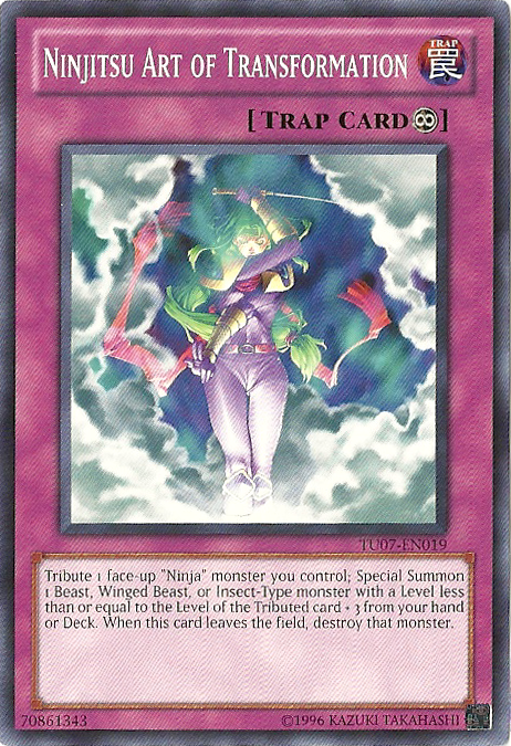 Ninjitsu Arte de la Transformación [TU07-EN019] Común 