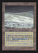 Tundra [Edición de coleccionista internacional] 