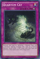 Gato cuántico [BP03-EN237] Común 