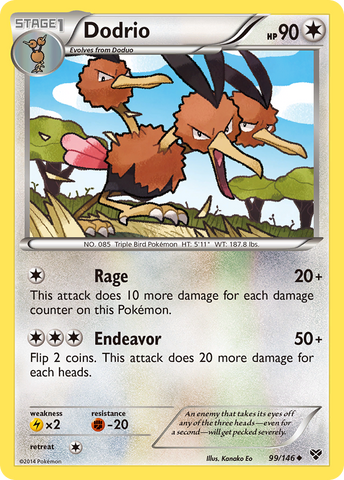 Dodrio (99/146) [XY: Conjunto básico] 