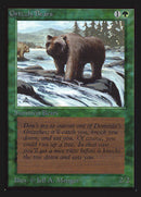 Osos Grizzly [Edición de coleccionista internacional] 