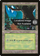 Bosque (B) [Cuarta edición (borde negro extranjero)] 