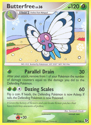 Butterfree (14/106) [Diamante y Perla: Grandes encuentros] 
